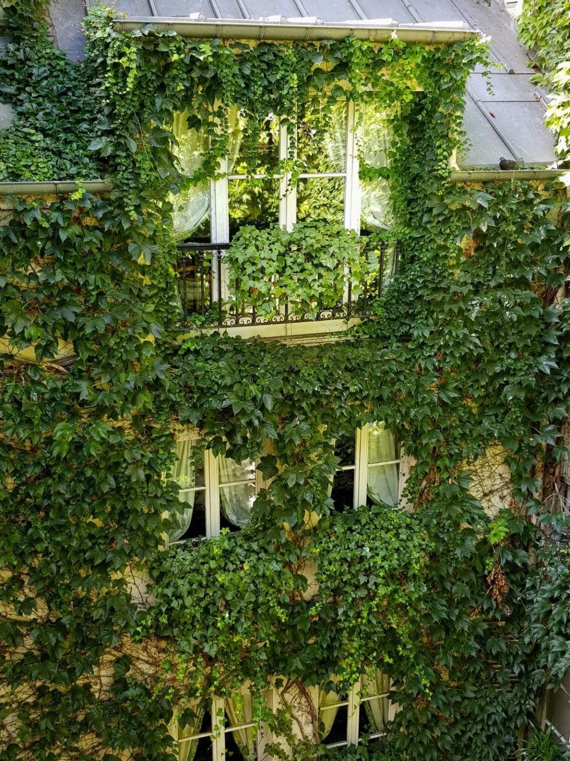 Balcon des chambres de charme de l'hôtel Le Relais Médicis, hôtel pittoresque avec jardin au coeur de Paris, sur la Rive Gauche